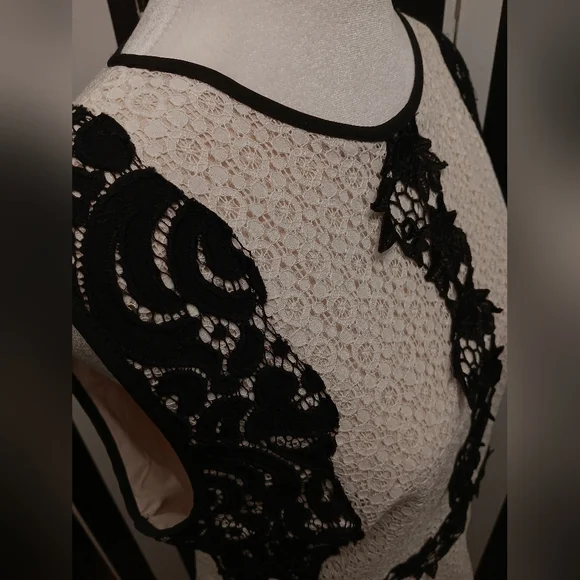 Antonio Milani lace top - Picture 5 of 8